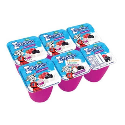 SUTAS BUYUMIX 6x40GR ORMAN MEYVESI